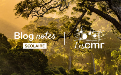 Blog notes – C3 #05 | L’arbre qui fait parler le tambour