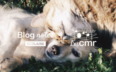 Blog notes – C2 #03 | Chiens et chats