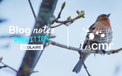 Blog notes-C2 #21 | Les voix de la nature
