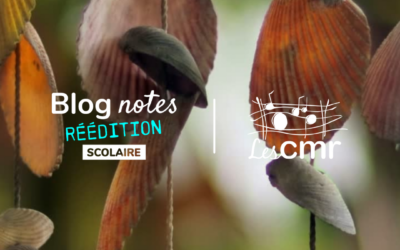 Blog notes-C1 #21 | Récupéra-son